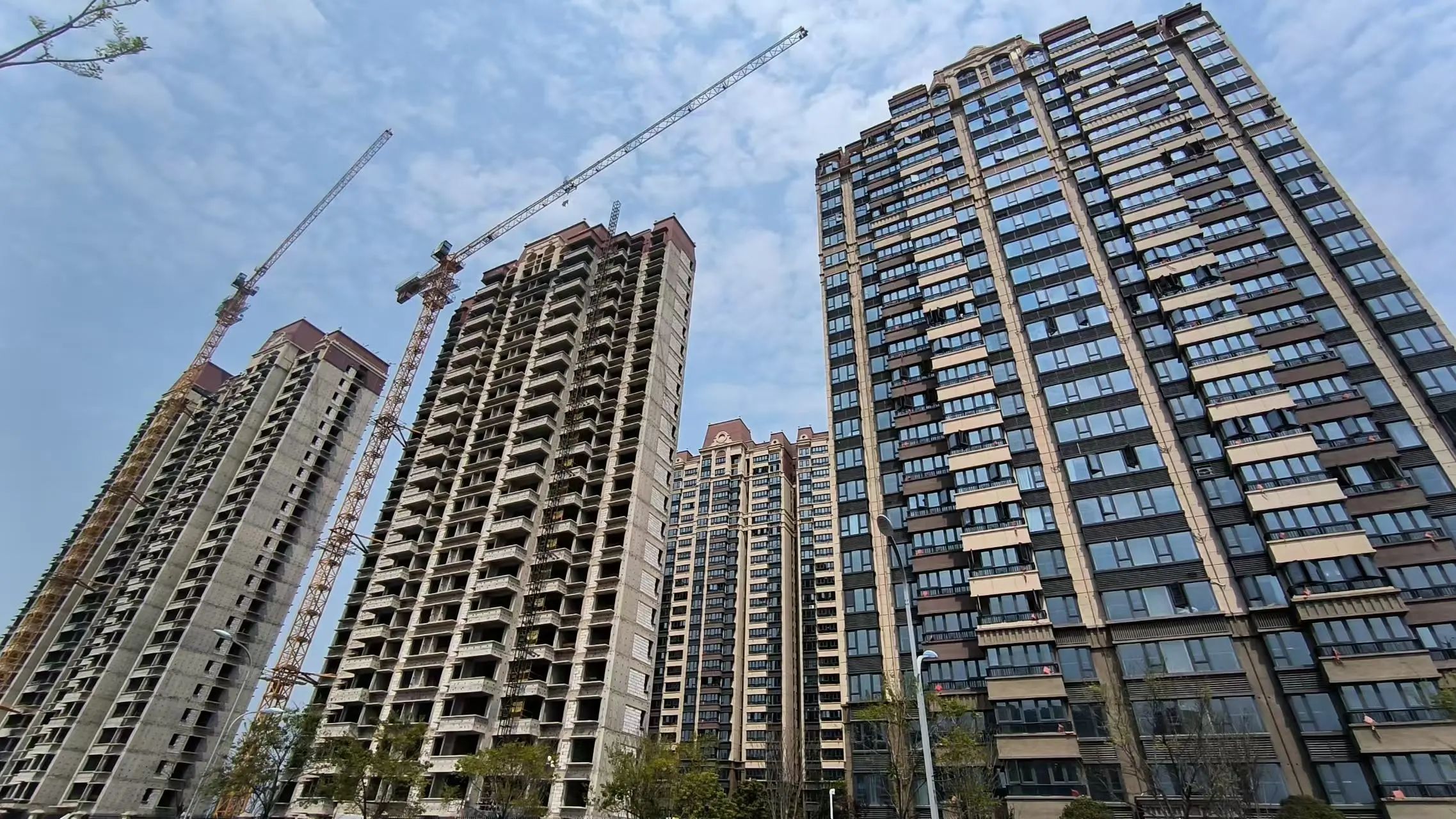 1742977044223504qw6s.jpg 06cf9b4095ea786927b84a269f000f47.jpg